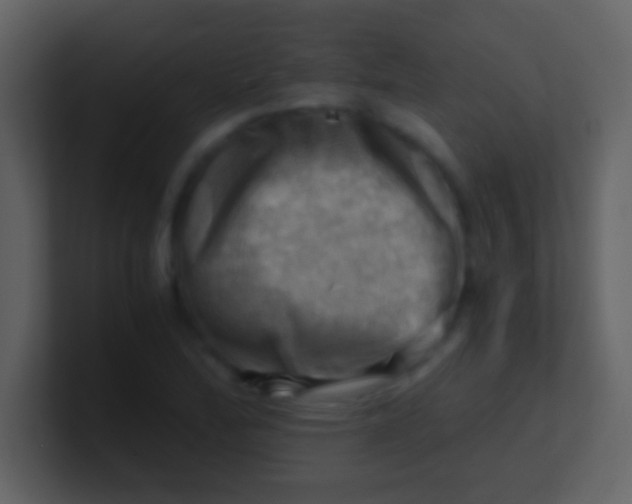 X0000100931172200807081206