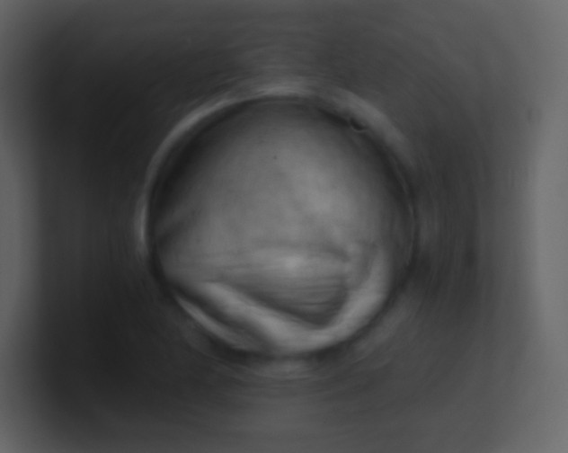 X0000100931174200807081206