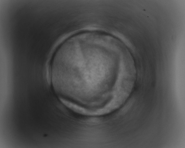 X0000100931175200807081206