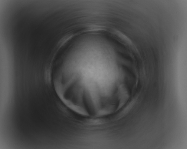 X0000100931177200807081206