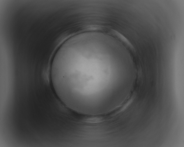 X0000100931178200807081206