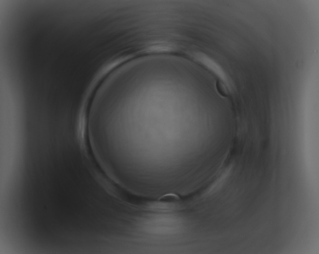 X0000100931179200807081206