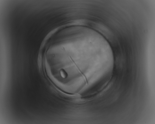 X0000100931180200807081206