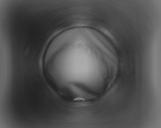 X0000100931181200807081206