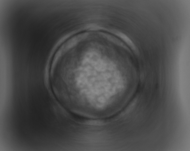 X0000100931183200807081206