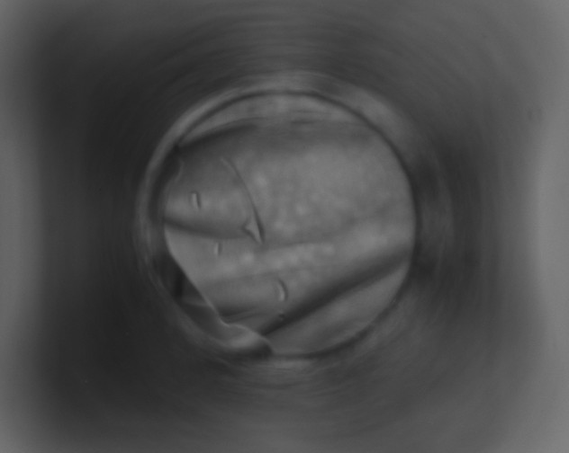 X0000100931184200807081206