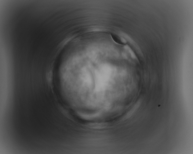 X0000100931185200807081206