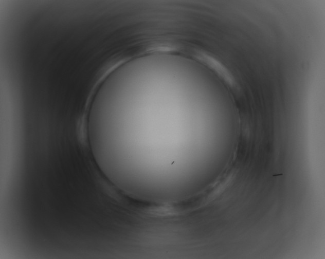 X0000100931186200807081206