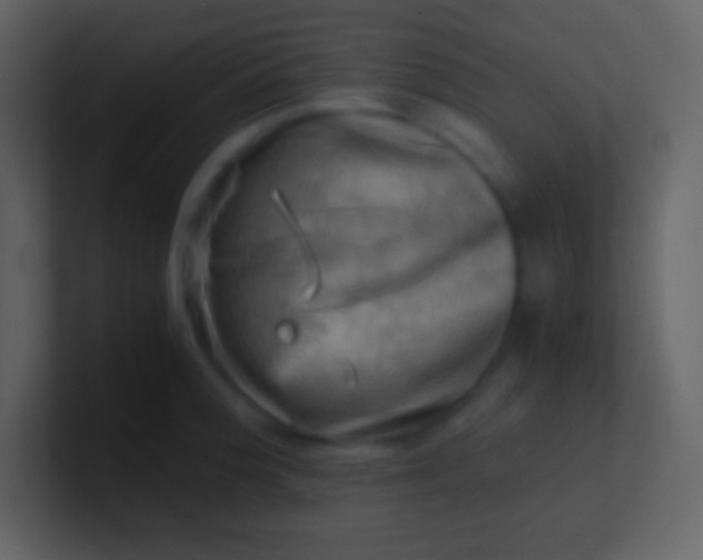 X0000100931188200807081206