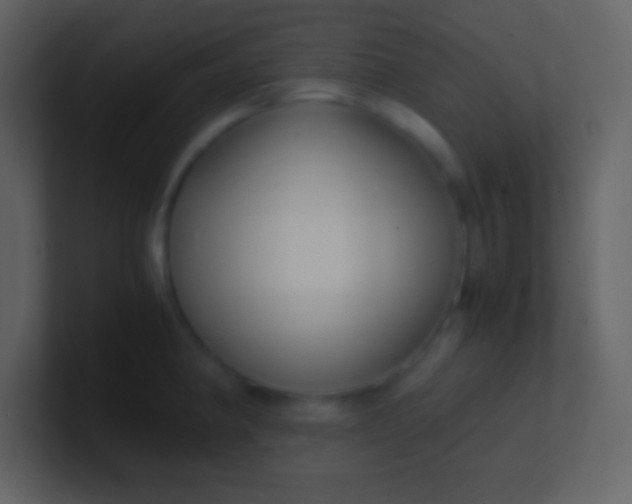 X0000100931190200807081206