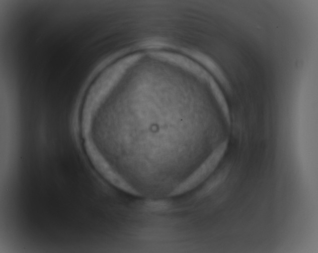 X0000100931191200807081206