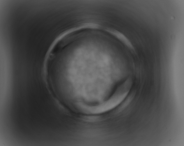 X0000100931192200807081206