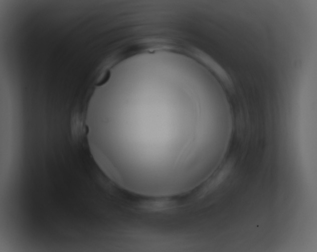 X0000100931193200807081206