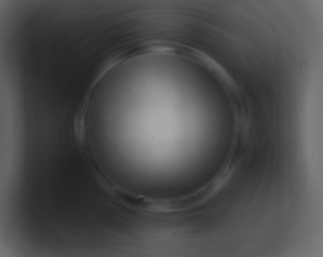 X0000100931194200807081206