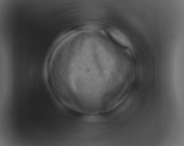 X0000100931195200807081206