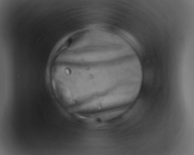 X0000100931196200807081206