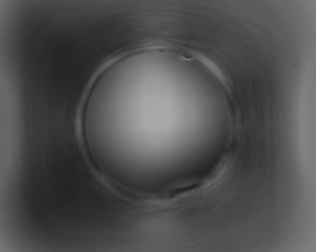 X0000100931197200807081206