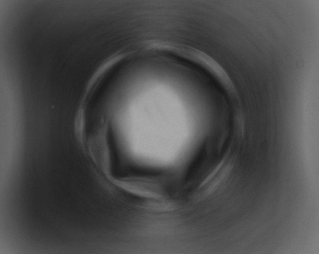 X0000100931198200807081206