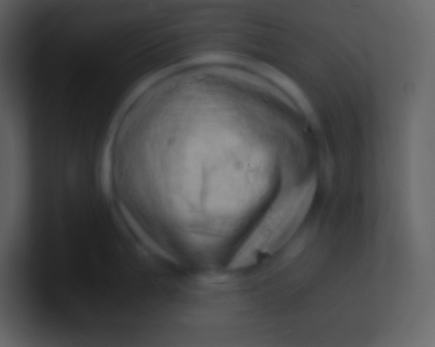 X0000100931199200807081206