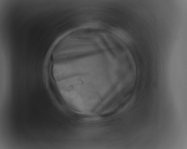 X0000100931200200807081206