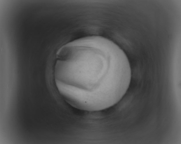 X0000100931201200807081205