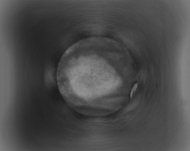 X0000100931202200807081205