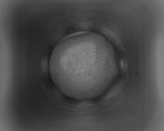 X0000100931203200807081205