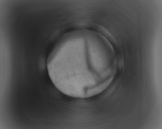 X0000100931204200807081205