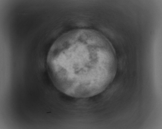 X0000100931205200807081205