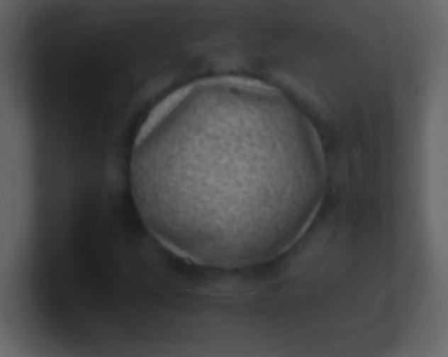 X0000100931207200807081205