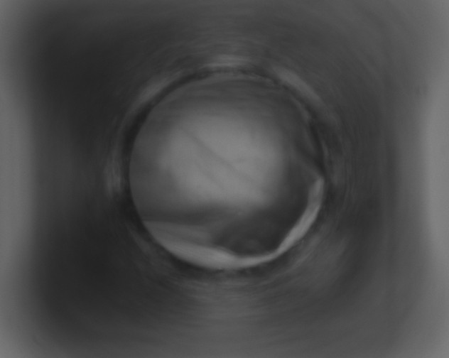 X0000100931208200807081205