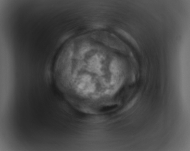 X0000100931210200807081205