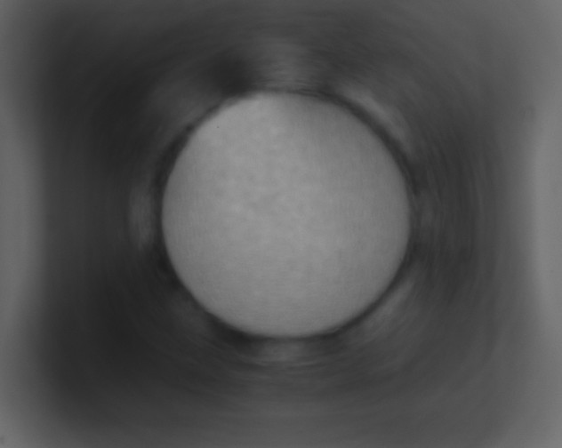 X0000100931211200807081205