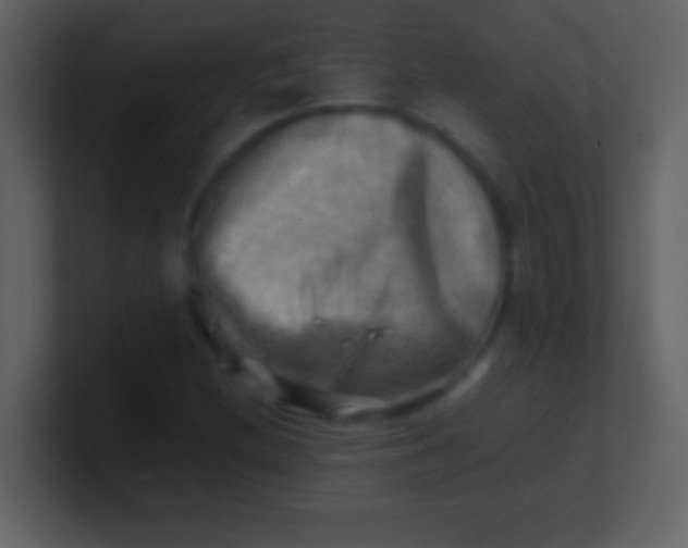 X0000100931212200807081205