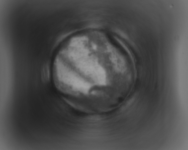 X0000100931214200807081205