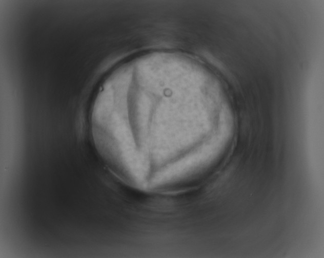 X0000100931215200807081205