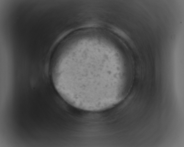 X0000100931216200807081205