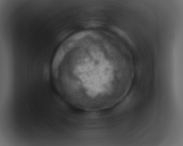 X0000100931217200807081205