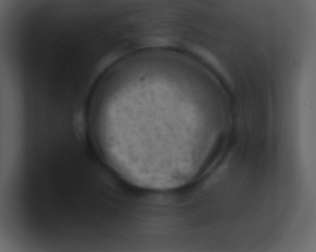 X0000100931218200807081205