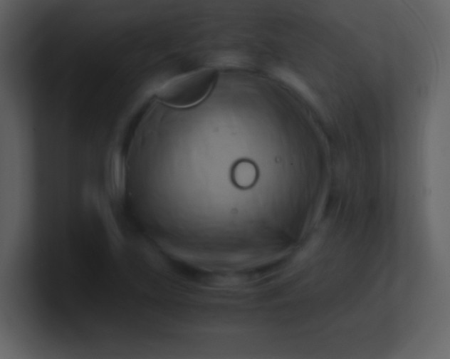 X0000100931219200807081205