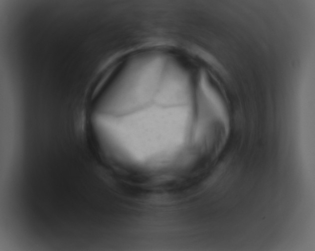 X0000100931220200807081205