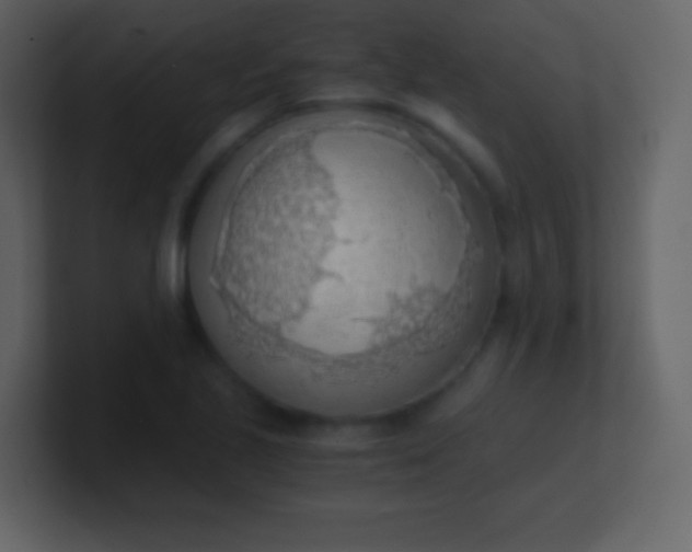 X0000100931221200807081205