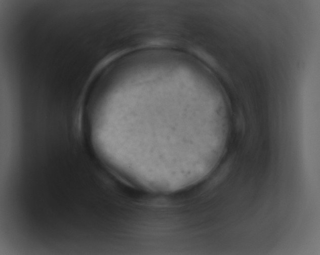 X0000100931222200807081205