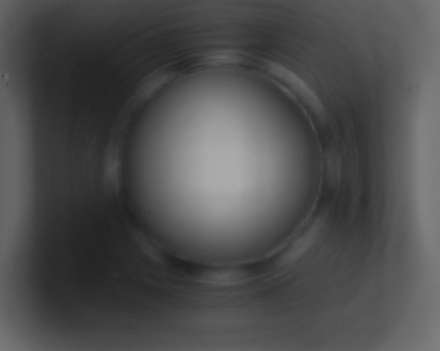 X0000100931225200807081205