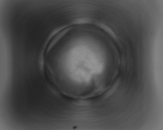 X0000100931226200807081206