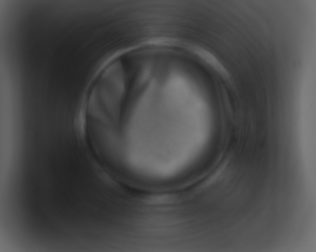 X0000100931228200807081206