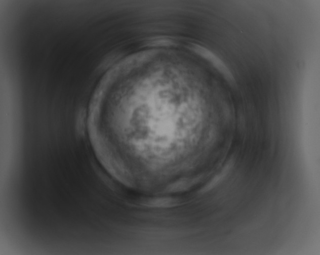 X0000100931233200807081206