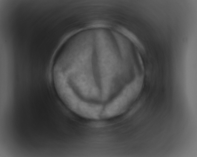 X0000100931236200807081206