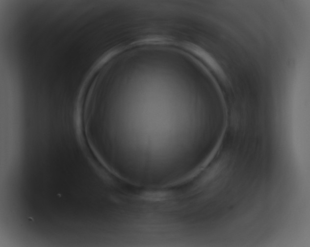 X0000100931237200807081206