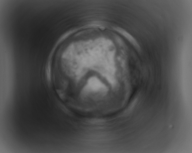 X0000100931238200807081206